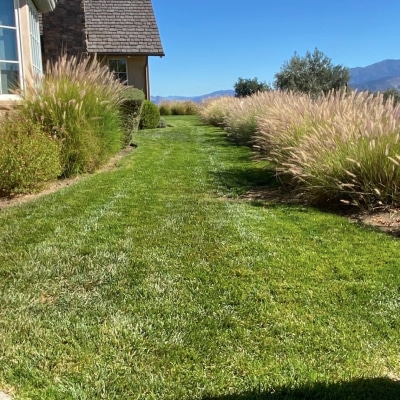 LANDSCAPE DESIGN